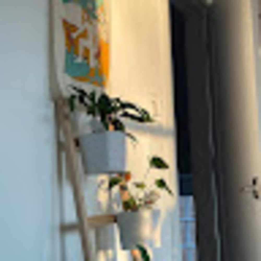 Meet your Posher, Kat